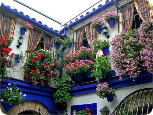 Дома, утопающие в зелени и цветах 01