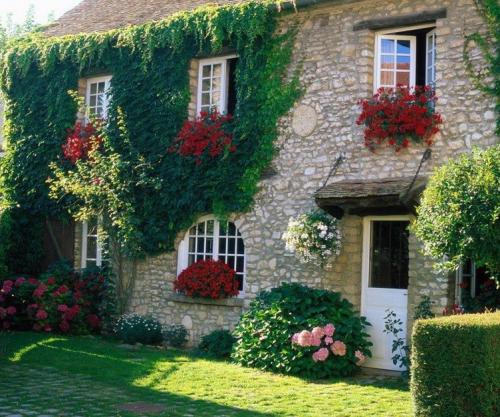 Дома, утопающие в зелени и цветах 04