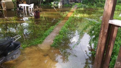 Как сделать дренаж в частном доме. Дренаж участка: зачем он нужен +, какой тип выбрать