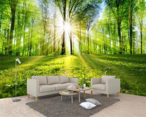 Визуализатор обоев. Панорамные фотообои — визуализация мечты