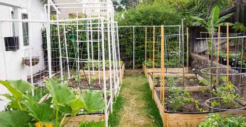 Из чего сделать грядку. Как сделать высокие грядки своими руками.