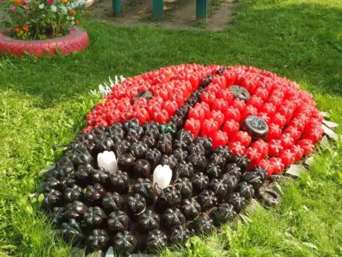 Ограждение для клумбы из пластиковых бутылок. Что хорошего в пластиковых бутылках