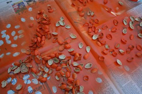 Поделка из фисташковой скорлупы. Поделки из фисташек – 7 простых идей 06 Поделка из фисташковой скорлупы. Поделки из фисташек – 7 простых идей 06