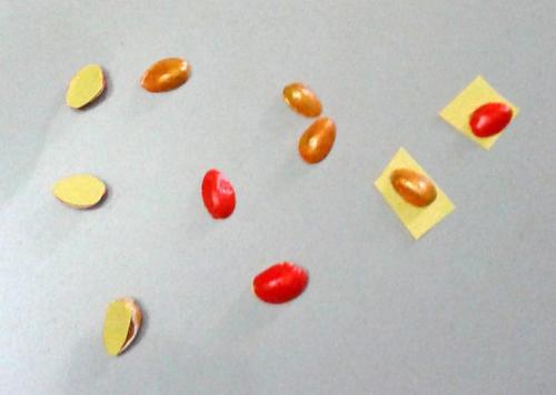 Поделка из фисташковой скорлупы. Поделки из фисташек – 7 простых идей 08 Поделка из фисташковой скорлупы. Поделки из фисташек – 7 простых идей 08