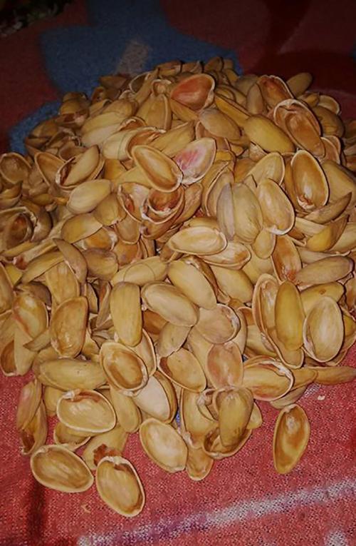 Поделка из фисташковой скорлупы. Поделки из фисташек – 7 простых идей 04 Поделка из фисташковой скорлупы. Поделки из фисташек – 7 простых идей 04