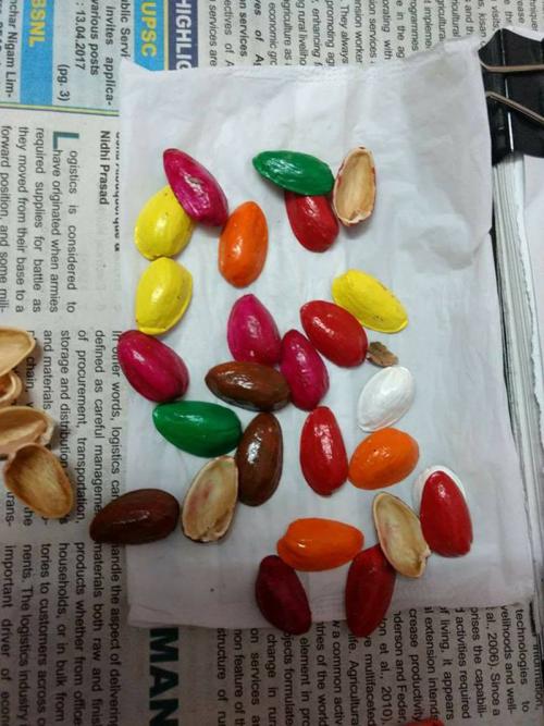 Поделка из фисташковой скорлупы. Поделки из фисташек – 7 простых идей 07 Поделка из фисташковой скорлупы. Поделки из фисташек – 7 простых идей 07