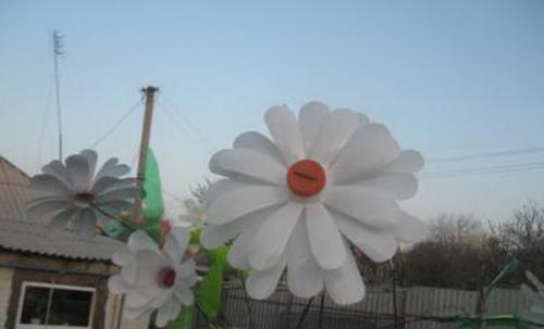 Ромашки из бутылок своими руками. Белые ромашки из пластиковых бутылок