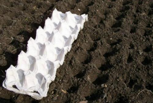 Поделки из упаковки из-под яиц. Оригинальные поделки, которые можно смастерить из обычных картонок для яиц 26 Поделки из упаковки из-под яиц. Оригинальные поделки, которые можно смастерить из обычных картонок для яиц 26