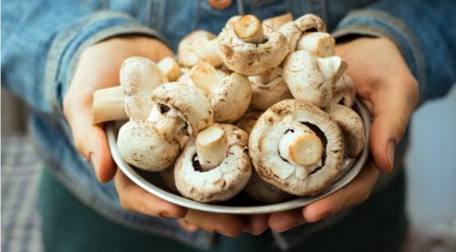 Какие продукты надо есть. Основные принципы правильного питания 15 Какие продукты надо есть. Основные принципы правильного питания 15