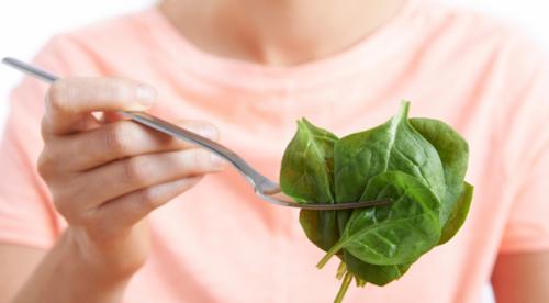 Какие продукты надо есть. Основные принципы правильного питания 12 Какие продукты надо есть. Основные принципы правильного питания 12