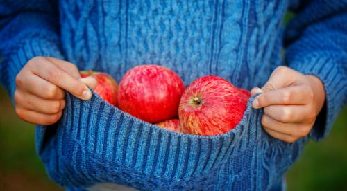 Какие продукты надо есть. Основные принципы правильного питания 14 Какие продукты надо есть. Основные принципы правильного питания 14