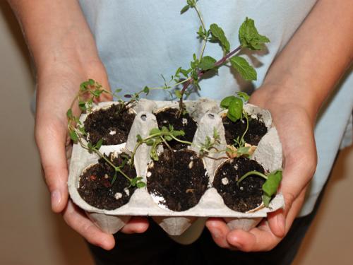 Поделки из упаковки из-под яиц. Оригинальные поделки, которые можно смастерить из обычных картонок для яиц 29 Поделки из упаковки из-под яиц. Оригинальные поделки, которые можно смастерить из обычных картонок для яиц 29