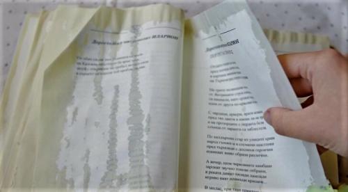 Правильное хранение книг. Как правильно хранить книги в домашних условиях