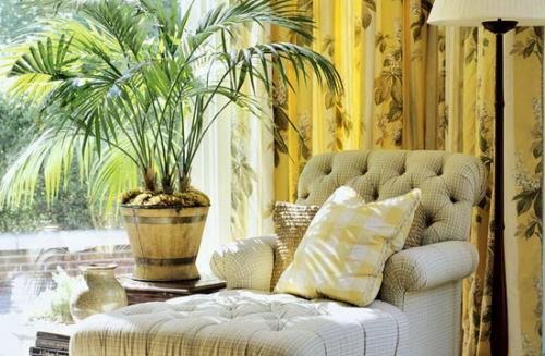 Цветы живые в интерьере. Комнатные цветы, как часть интерьера 05 Цветы живые в интерьере. Комнатные цветы, как часть интерьера 05