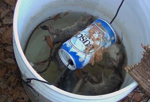 Розы из пластиковых бутылок своими руками. Цветок из пластиковой бутылки своими руками: пошагово 02 Розы из пластиковых бутылок своими руками. Цветок из пластиковой бутылки своими руками: пошагово 02