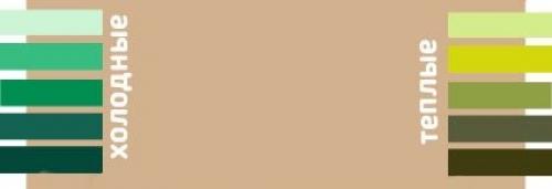 Бежевый цвет стен. С какими цветами сочетается бежевый?