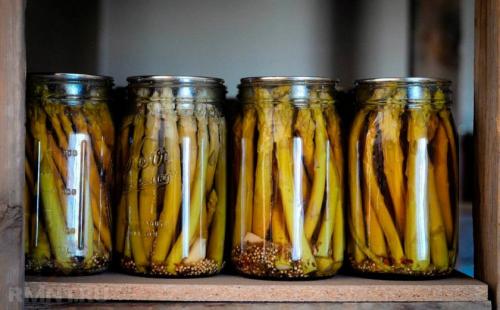 Консервированная спаржа, что приготовить. Выбор и подготовка ингредиентов