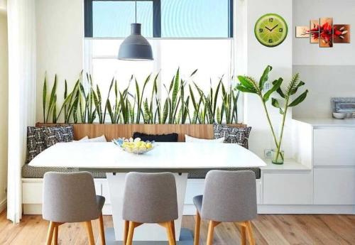 Комнатные растения в интерьере жилого дома. Комнатные растения в домашнем интерьере (фото)