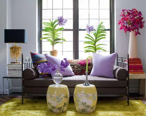 Комнатные цветы в интерьере около 400 видов. Цветы в интерьере. Фото и рекомендации