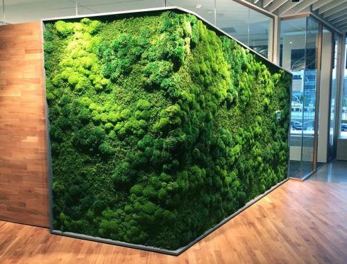 Необычные материалы для отделки стен квартиры и дачи.