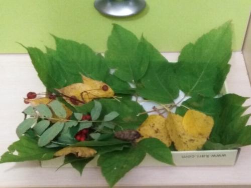 Ежик поделка в садик. Забавные животные из природных материалов. Наша поделка в детский сад Запасливый ежик