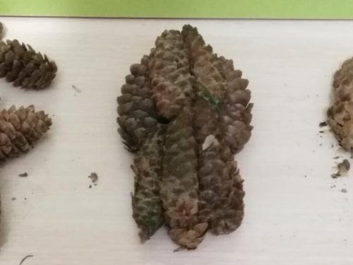 Ежик поделка в садик. Забавные животные из природных материалов. Наша поделка в детский сад Запасливый ежик