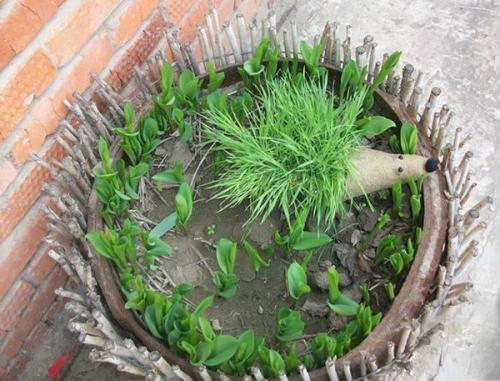 Ежик из пластиковых бутылок своими руками. Забавный ежик из пластиковой бутылки