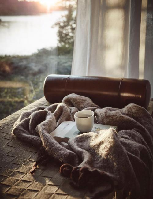 Уютная атмосфера с видом на озеро 05