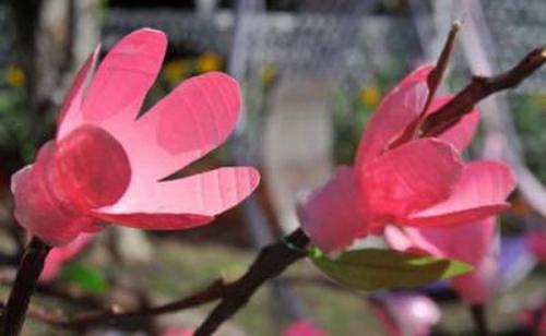 Вьющиеся цветы из пластиковых бутылок. Как сделать цветы из пластиковых бутылок? 4 мастер-класса с фото