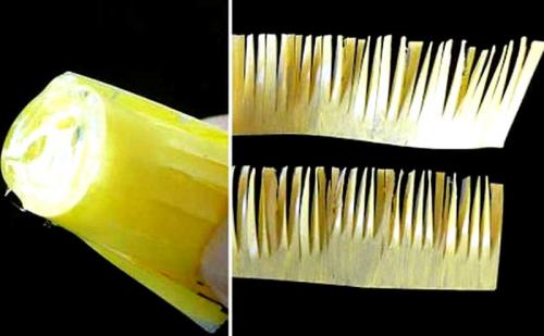 Большие цветы из пластиковых бутылок. 7 способов научиться делать цветы из пластиковых бутылок своими руками