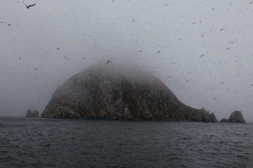 Жизнь на необитаемом острове. Как попасть на необитаемый остров? 02