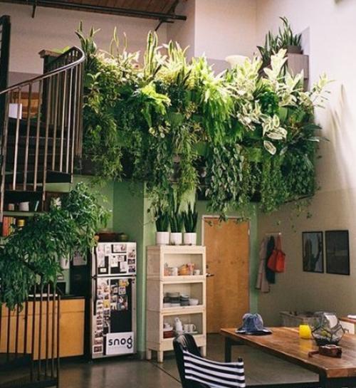 Зеленая стена из растений. Еще 10 красивых идей вертикального озеленения