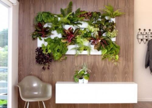 Зеленая стена из растений. Еще 10 красивых идей вертикального озеленения