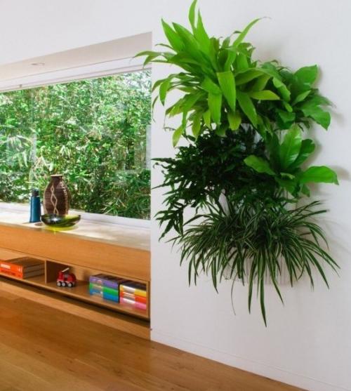 Зеленая стена из растений. Еще 10 красивых идей вертикального озеленения