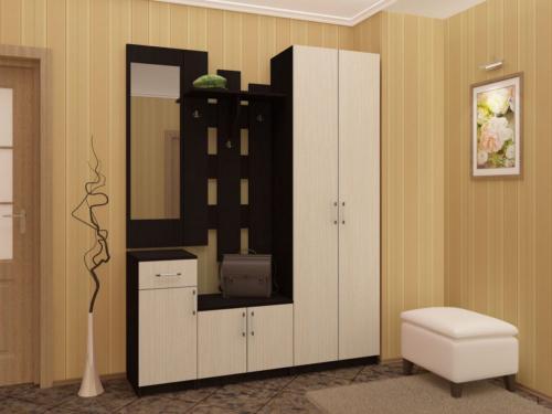 Шкаф в узкой нише. Особенности и преимущества
