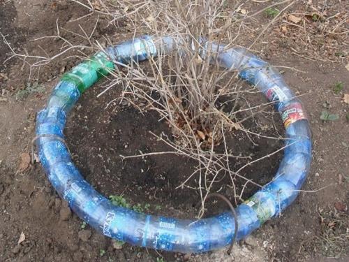 Поделки из пластиковых бутылок для дачи, сада и огорода: идеи, схемы и мастер-классы