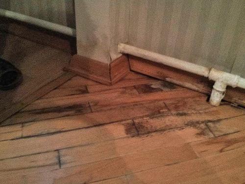 Что делать если паркет поднялся после потопа. Ремонт паркета после залива водой