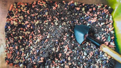 Как посадить дерево инструкция. Как правильно сажать Толстянку в домашних условиях