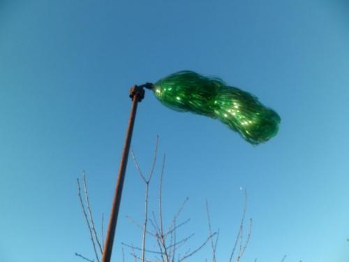 Мини пальма из пластиковых бутылок. Пальма из бутылок —, как сделать стильное украшение из пластиковой тары (67 фото + видео)