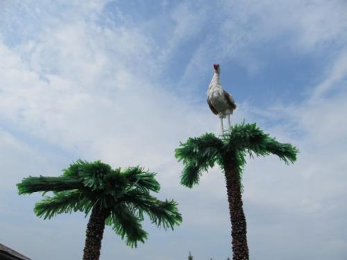 Мини пальма из пластиковых бутылок. Пальма из бутылок —, как сделать стильное украшение из пластиковой тары (67 фото + видео)