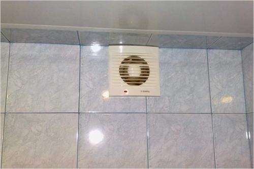 Варианты покраски стен в ванной. Как профессионально покрасить стены в ванной