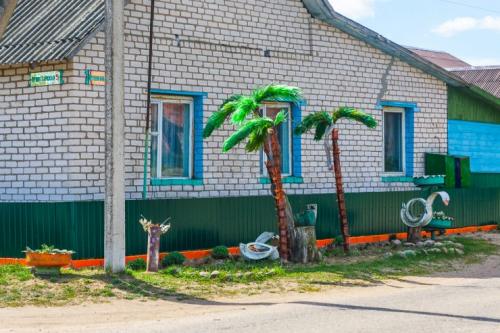 Мини пальма из пластиковых бутылок. Пальма из бутылок —, как сделать стильное украшение из пластиковой тары (67 фото + видео)