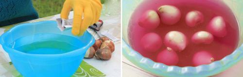 Как вырастить тюльпаны в квартире зимой. Волшебная клумба на подоконнике: как посадить и вырастить тюльпаны в домашних условиях