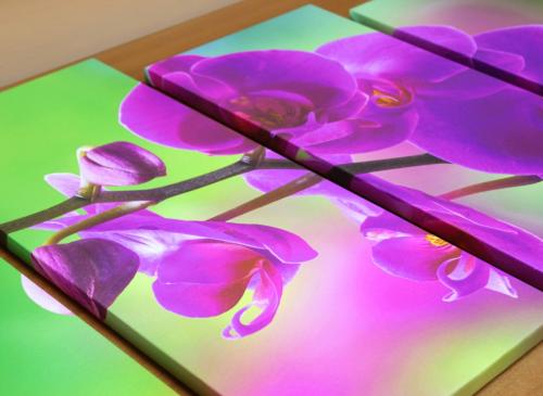 На каком расстоянии друг от друга вешать модульные картины. Плюсы и минусы использования в интерьере 32 На каком расстоянии друг от друга вешать модульные картины. Плюсы и минусы использования в интерьере 32