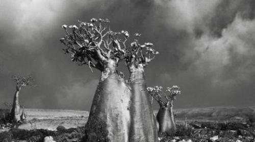 Почему нельзя хранить велосипед дома. Приметы и суеверия: какие фотографии нельзя хранить дома