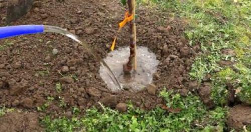 Чем бюджетно обшить дом снаружи. Для каменного дома 11