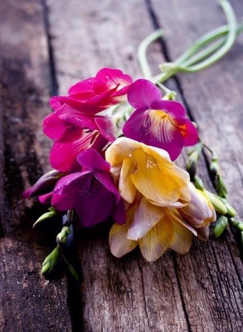 Вкусные ягодные оттенки 01