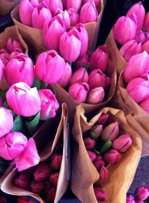 Вкусные ягодные оттенки 03