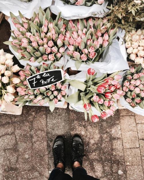 Париж, Франция 02