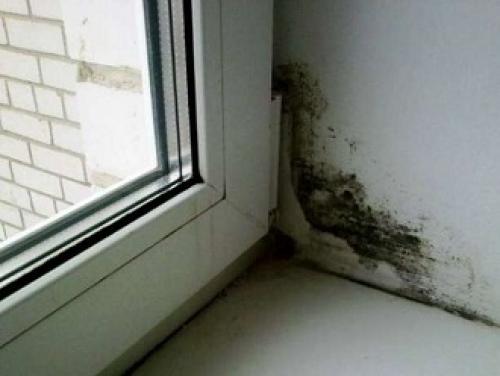 Оконные откосы наружные. Как сделать наружные откосы для пластикового окна? 18